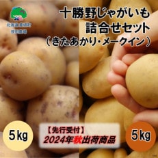 十勝野じゃがいも詰合せセット10kg(きたあかり・メークイン)【2024年秋出荷】58910598