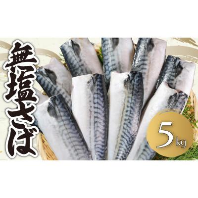 ふるさと納税 銚子市 無塩さば　約5kg