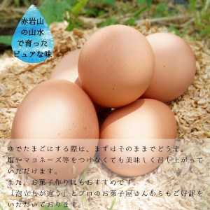 【卵 定期便６か月】赤岩高原たまご 40個×6か月 合計240個（特選）