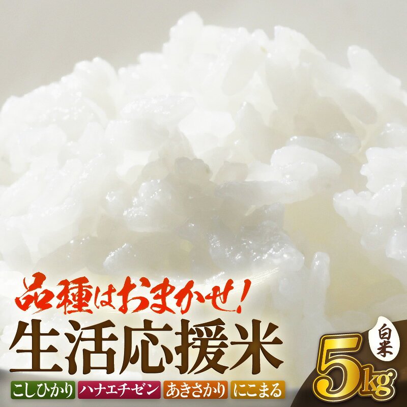 【ふるさと納税】【先行予約】令和8年産 生活応援米 5kg 福井県越前町産【白米】【2026年10月中旬以降順次発送】【お米 コメ kome 5キロ 家庭用】