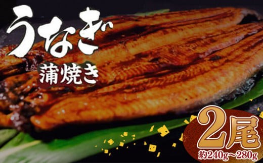 有頭 うなぎ 蒲焼 2尾 240g以上（ 120g～140g × 2尾 ） | 尾頭付き 土用の丑の日 蒲焼 鰻 ひつまぶし うな丼 うな重 お歳暮 ギフト 冷凍 養殖 ふるさと納税うなぎ 高知県 須崎市 秘伝タレ付き 真空パック 惣菜 人気 ランキング おすすめ 母の日 父の日 ME065_x