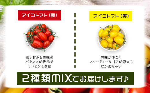 岩永さんちの カラフル ミニトマト | アイコ赤･黄MIX 1kg |【農林水産大臣賞受賞】有機肥料・化学肥料不使用 | 生産者直送 野菜 トマト 1kg とまと プチトマト サラダ やさい 旬 新鮮