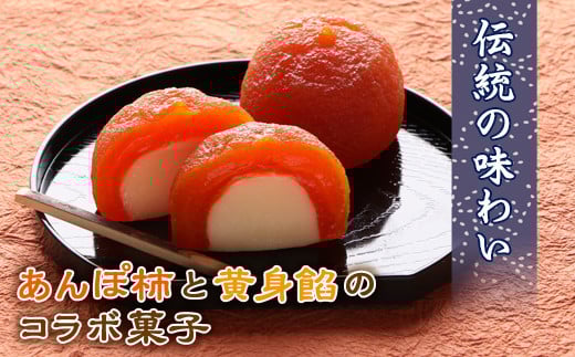 あんぽの味野り 9個入  お茶菓子 お茶請け 和菓子 菓子 食品 F20C-238