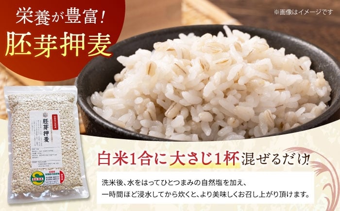 麦 雑穀 雑穀米 麦ごはん 1等麦 特別栽培農産物 佐賀 食物繊維 胚芽押麦 500g 真空パック 真空
