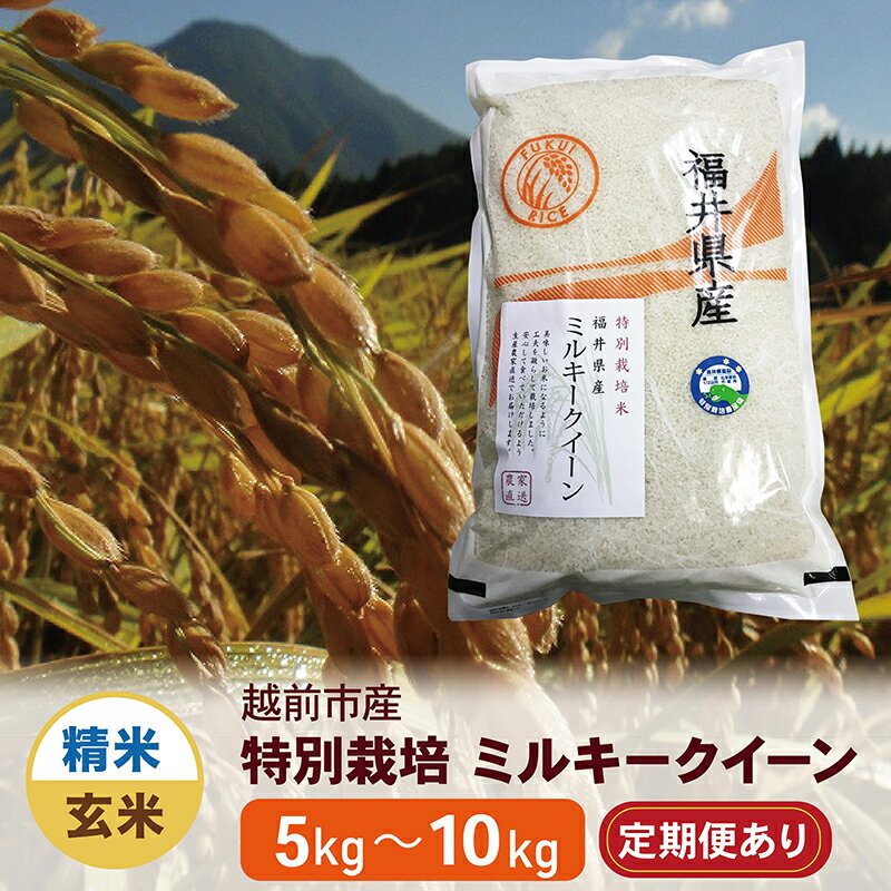 【ふるさと納税】【先行予約】令和7年度 新米 特別栽培 越前市産ミルキークイーン（5kg・10kg／精米・玄米／定期便3回・6回）/ 送料無料 福井県 越前市 米 ミルキークイーン 減農薬 新生活(18209)