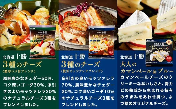 北海道 十勝 よつ葉バター と チーズ の詰合せ A バター 北海道バター