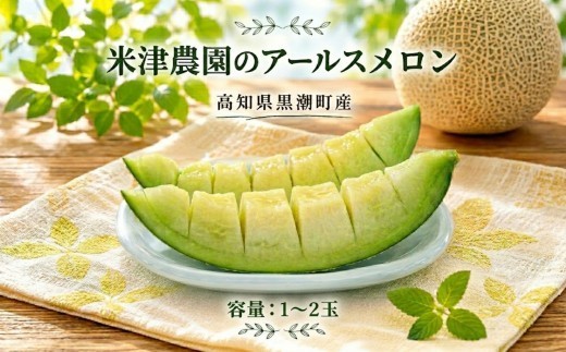 
                  米津農園の アールス メロン 1~2玉 1玉1.8~2kg 選べる 1玉 2玉 セット アールスメロン 青肉 青肉メロン めろん フルーツ 果物 くだもの 果肉 ギフト 贈り物 プレゼント 旬 期間限定 季節限定 旬の果物 高知県 高知 黒潮町産 黒潮町
                