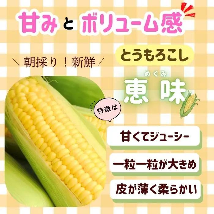 とうもろこし（恵味）・枝豆セット 木内ファーム_とうもろこし