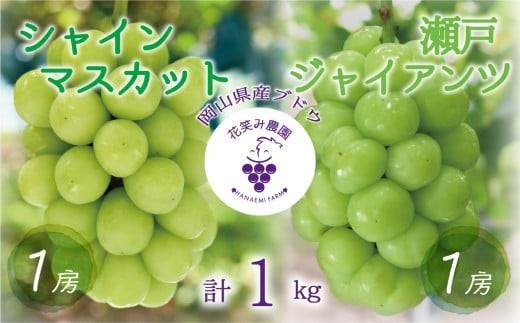 
                  ぶどう【2026年先行予約】＜除草剤不使用＞ぶどう 食べ比べ 2種セット 1kg 2房 シャインマスカット 瀬戸ジャイアンツ ぶどう 葡萄 しゃいんますかっと マスカット フルーツ 果物 産地直送 農家直送 食べ比べ 詰合せ 花笑み農園 岡山県【hana046-02】
                