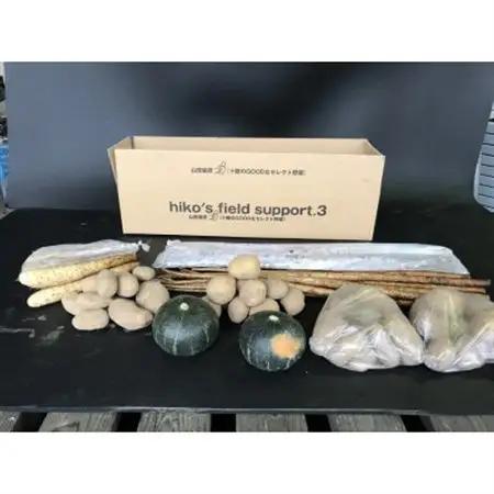 冬の味覚 野菜4種セット B 計10.4kg 北海道十勝帯広産_野菜 じゃがいも いも ジャガイモ 馬鈴薯  野菜  根菜   野菜 かぼちゃ  カボチャ 南瓜_【配送不可地域：離島】【1497191