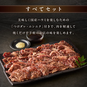 今だけ数量限定！九条ネギ付き！肉汁溢れる 国産牛ハラミ 250g 093-42-P
