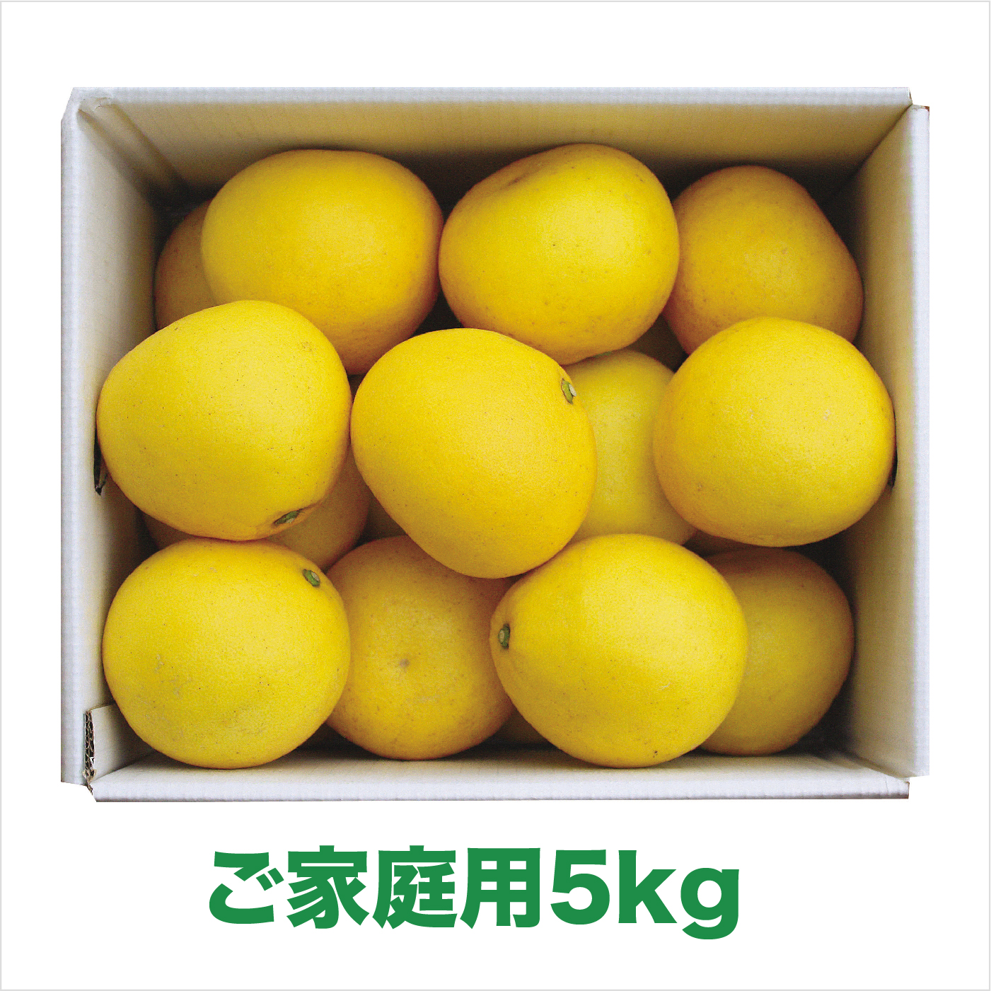 【2026年発送】岡林農園の(家庭用)土佐文旦(約5kg/8～12玉)  栽培期間中 農薬不使用