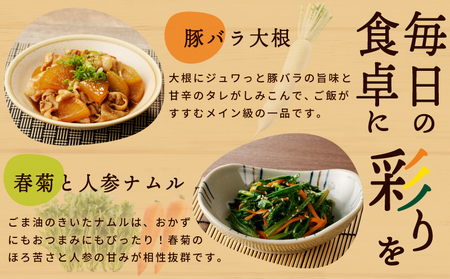 旬の新鮮 野菜セット（15種以上）定期便 全4回 おまかせ ピクルスの素付き ファミリー向け いずみピクルス NSW【毎月配送コース】