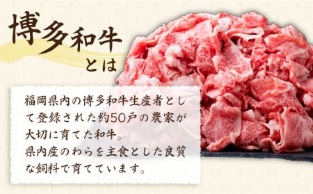 【贅沢A4-A5ランク】 博多和牛 切り落とし 小分けパック 1kg （250g×4P） 切り落し 糸島市/糸島ミートデリ工房[ACA188]
