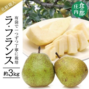 SA2937　有袋栽培 ラ・フランス　約3kg(7～10玉入) 化粧箱入