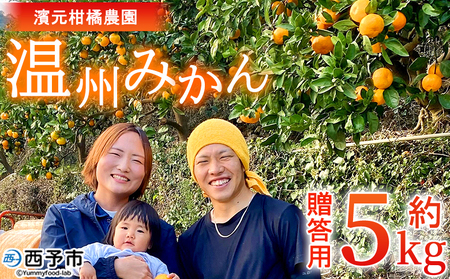 ＜明浜産 温州みかん 約5kg 贈答用＞ 愛媛みかん 農家直送 果物 フルーツ 柑橘 ミカン 蜜柑 S～Lサイズ 贈答 国産 濱元柑橘農園 愛媛県 西予市【常温】『2025年11月下旬から12月中旬までに順次出荷予定』AHK0001