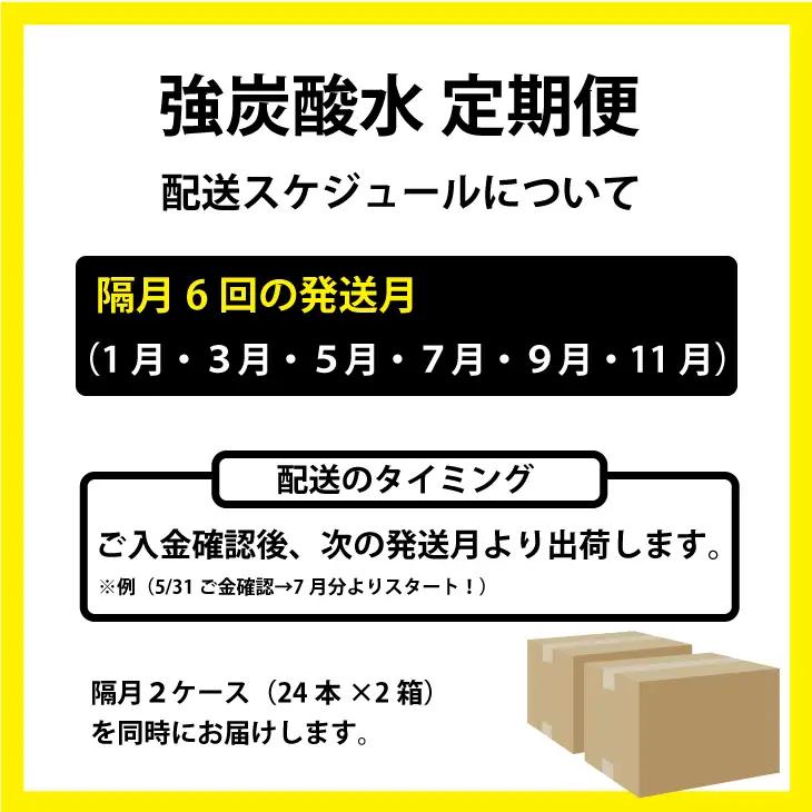 【定期便】（年/隔月）強炭酸水（500ml）2ケース（48本入り）×6回 炭酸 飲料 Q072-003