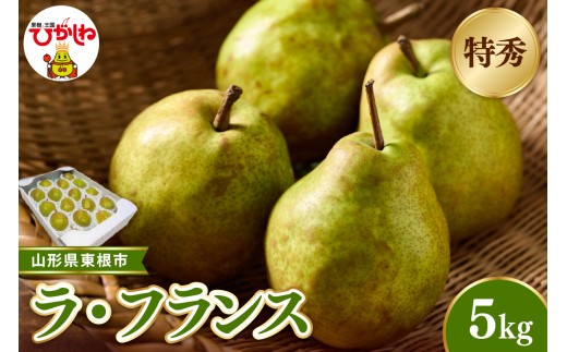 【2026年産 先行受付】東根市産ラ・フランス 約5kg(玉数おまかせ) 特秀品 ベジフルひがしね 山形県 東根市 hi104-015