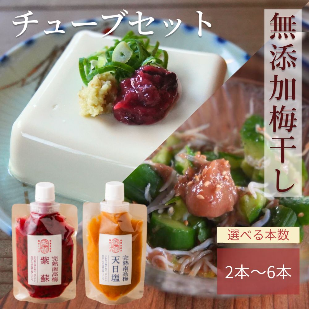 【ふるさと納税】【梅ボーイズ】無添加 紀州南高梅の梅 2～6本チューブセット（塩・紫蘇） 天日塩使用 梅チューブ 梅ボーイズ 南高梅 無添加 うめひかり 天日塩 紫蘇 セット 詰め合わせ