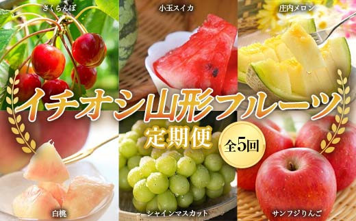 《先行予約 2026年度発送》イチオシ山形フルーツ定期便（全5回） FSY-2619