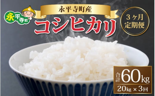 【3ヶ月連続お届け】【白米】 令和5年度産 永平寺町産 コシヒカリ 20kg×3ヶ月（計60kg） [K-033089]