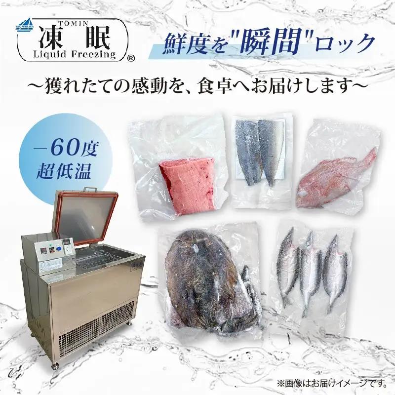 【 鮮魚 】 鮮魚 セット 3種～5種