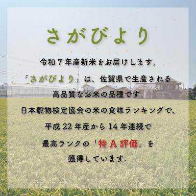 ふるさと納税 大町町 【先行予約】令和7年産 さがびより 5kg(大町町)【29kg-0001】 |  | 01