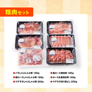 【令和8年8月発送】【いろんな料理にアレンジできちゃう満喫コース】（精肉）さんきょうみらい豚満喫セット【肉 豚 豚肉 国産豚肉 九州産豚肉 宮崎県産豚肉バラ 肩ロース ウデ モモ 焼肉 生姜焼き ポー