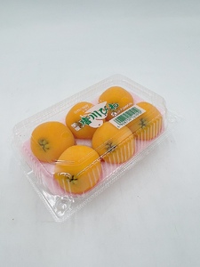 びわ 唐川びわ 先行予約 350g×6パック入り【2025年5月下旬以降発送】｜B124