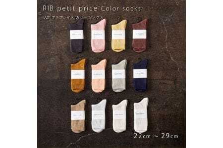 HARUSAKU [ CC ] ハルサク リブカラー ソックス 靴下 10P set　22cm～24cm　12-083