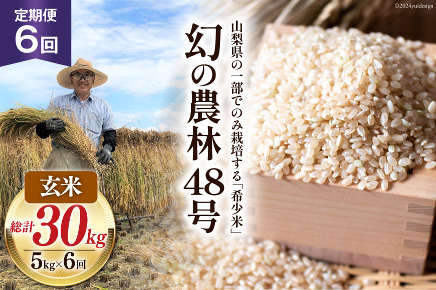 6回 定期便 米 令和5年産 玄米 農林48号 5kg×6回 計30kg [穂足農園合同 山梨県 韮崎市 20742391] お米 コメ ご飯 ごはん 山梨県産