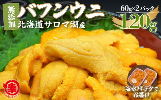 【先行予約】サロマ湖産 無添加 バフンウニ 120g（60g×2）海水パック 【 ふるさと納税 人気 おすすめ ランキング 魚介類 うに ばふんうに バフンウニ 雲丹 ウニ 海鮮丼 ウニ丼  新鮮 オホーツク 北海道 佐呂間町 送料無料 】 SRMA021