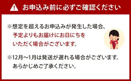 九州産 うなぎ 蒲焼 特上 2尾 計440g以上 (1尾あたり220～235g)【2026年9月発送】