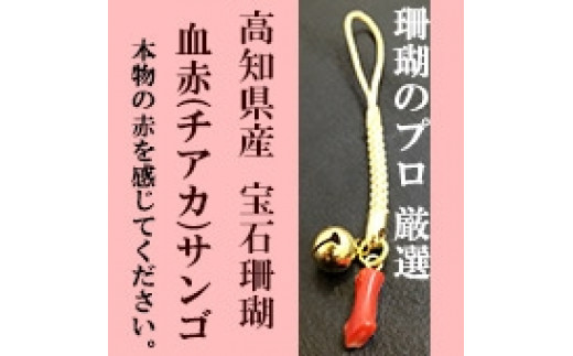 
小さい血赤珊瑚根付　本物の宝石（サンゴ）高知県産血赤珊瑚の赤を見てみたいという方に！
