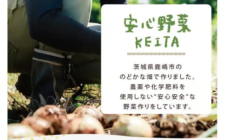 新玉ねぎ 約５kg 有機たまねぎ