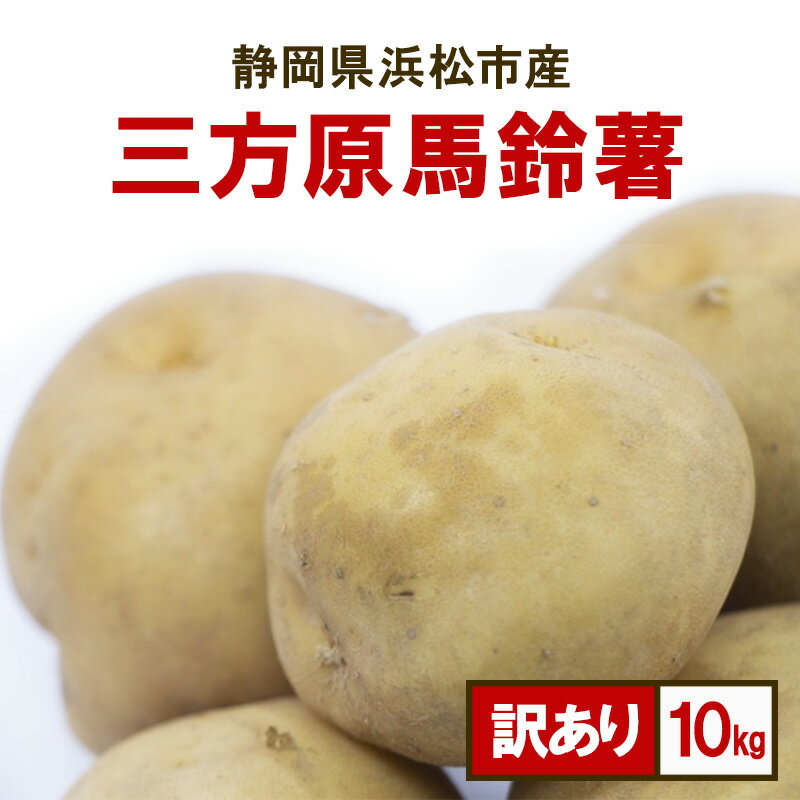 【ふるさと納税】静岡県浜松市産 訳あり 三方原馬鈴薯 10kg 男爵 じゃがいも じゃが芋 ジャガイモ 国産 野菜 浜松市　お届け：2025年5月15日～7月15日まで