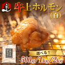 ホルモン の 老舗 六間星山 の 牛上ホルモン（白）500g／1kg／2kg [A-026002] | 国産 秘伝 タレ漬け 星山 冷凍 焼肉 バーベキュー ホルモン鍋 とんちゃん 鉄板焼 BBQ もつ 味付け肉 ビールのお供 網焼き 牛肉 肉 ハイボール 焼肉店 ホルモン焼き 送料無料