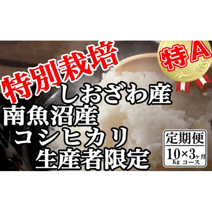 【ふるさと納税】【令和7年産】米 定期便 コシヒカリ 南魚沼しおざわ産 30kg ( 10kg × 3ヶ月 ) 特別栽培【2025年10月上旬より順次発送予定】 | お米 こめ 白米 コシヒカリ 食品 人気 おすすめ 送料無料 魚沼 南魚沼 南魚沼市 新潟県産 新潟県