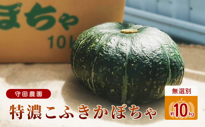 【2025年9月中旬～発送】北海道 ふらの 特濃こふき かぼちゃ 無選別 約10kg (守田農園) 野菜 新鮮 直送 いも 道産 ふらの 送料無料 数量限定 先着順 北海道 富良野市 ほくほく 秋