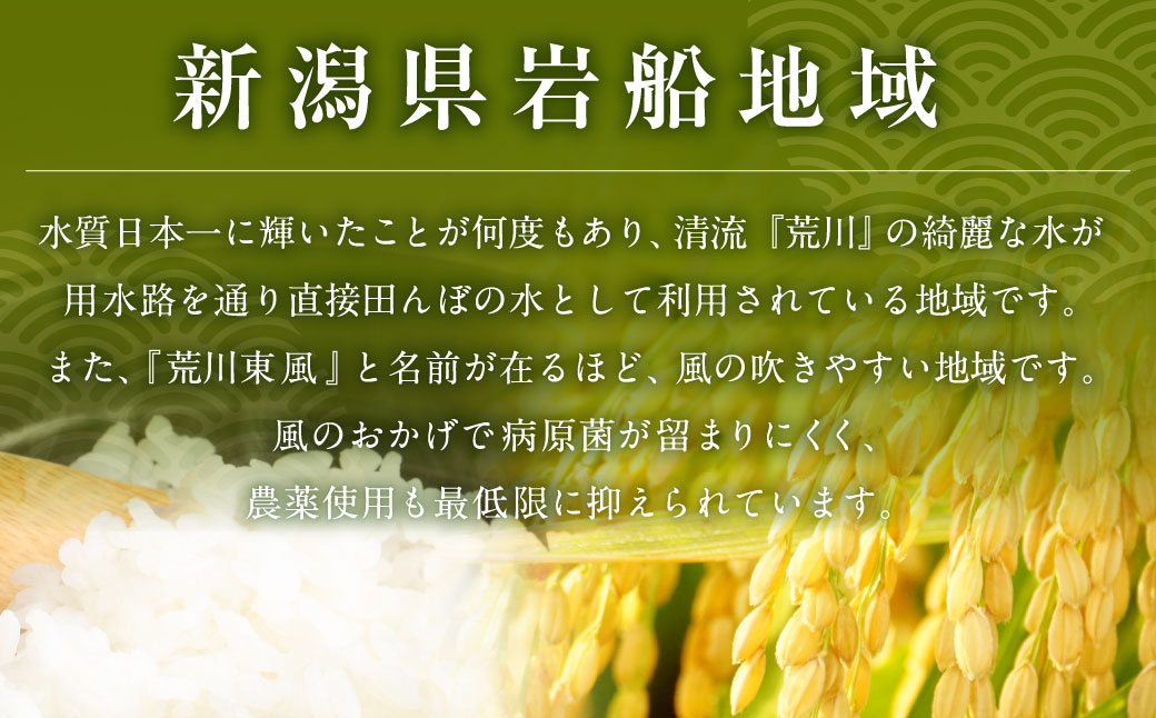 NA4152【新米受付・令和7年産米】新潟県岩船産　新之助　精米2㎏×3個セット