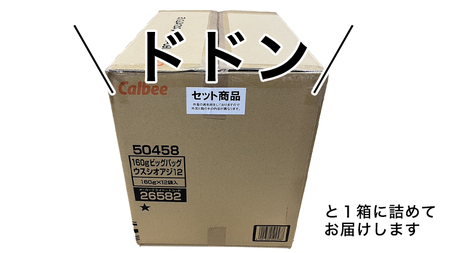 カルビー ポテトチップス BIGBAG 160g 3種 各4袋セット (計 12袋 ) うすしお ・ のりしお ・ コンソメパンチ ポテチ お菓子 おかし 大量 スナック おつまみ ジャガイモ じゃが