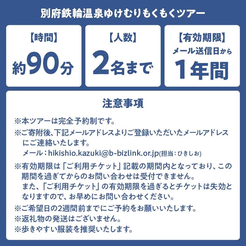 【完全予約制】別府鉄輪温泉ゆけむりもくもくツアー_B097-035