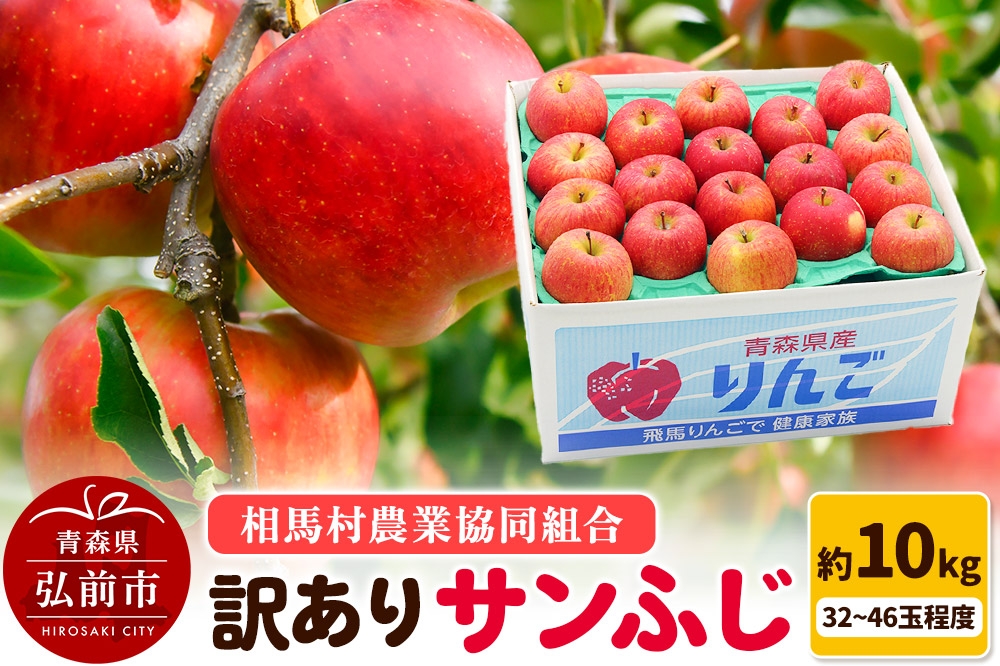 
            りんご【訳あり】サンふじ 約10kg（32～46玉程度）
          