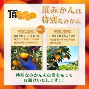 三代目がつくる高品質【頂みかん】2kg【1181949】
