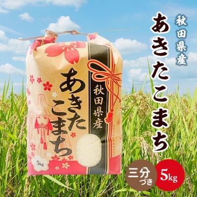 ふるさと納税 潟上市 【毎月定期便】秋田県産あきたこまち 5kg(三分づき)全3回