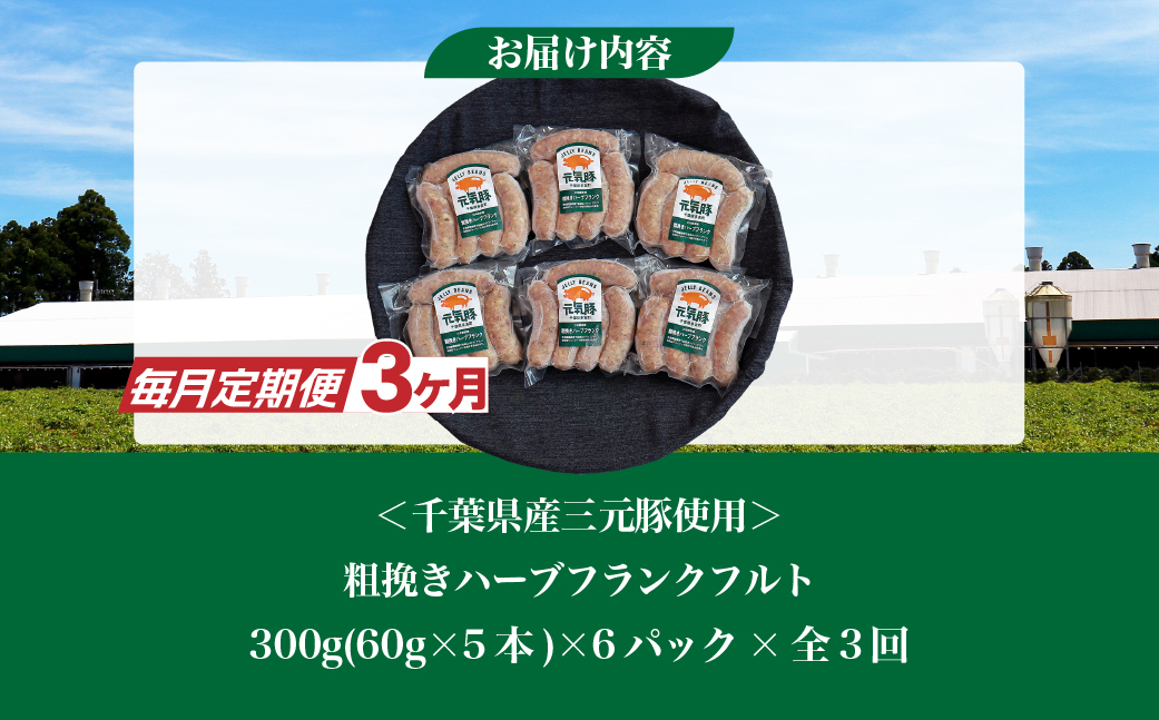 【毎月定期便】元気豚 粗挽きハーブフランクフルト 30本セット 1.8kg(60g×30本)全3回【配送不可地域：離島・沖縄県】 TAKB066