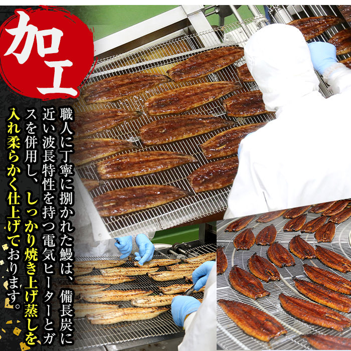 i505 鹿児島県産うなぎ蒲焼2尾セット(約140g×2・計約280g)【薩摩川内鰻】