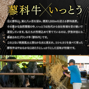 蓼科牛 いっとうオリジナルセット　
