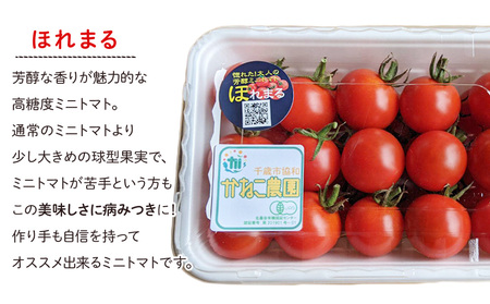 【2025年8月中旬より発送】小玉スイカ１玉＆有機ミニトマト500ｇ×2【かねこ農園】