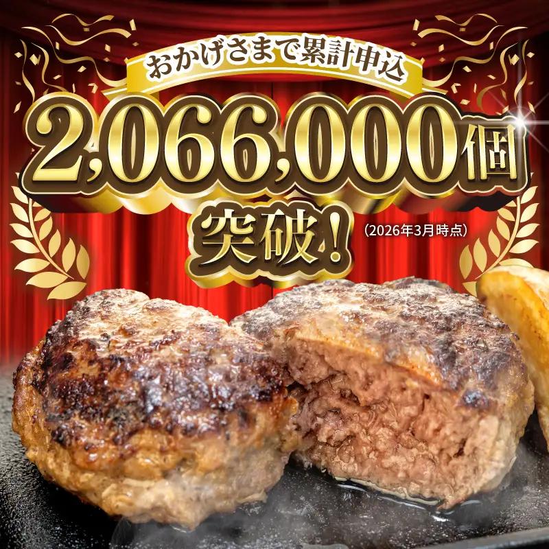 ハンバーグ15個 近江牛入り [RM203_FW]ハンバーグ